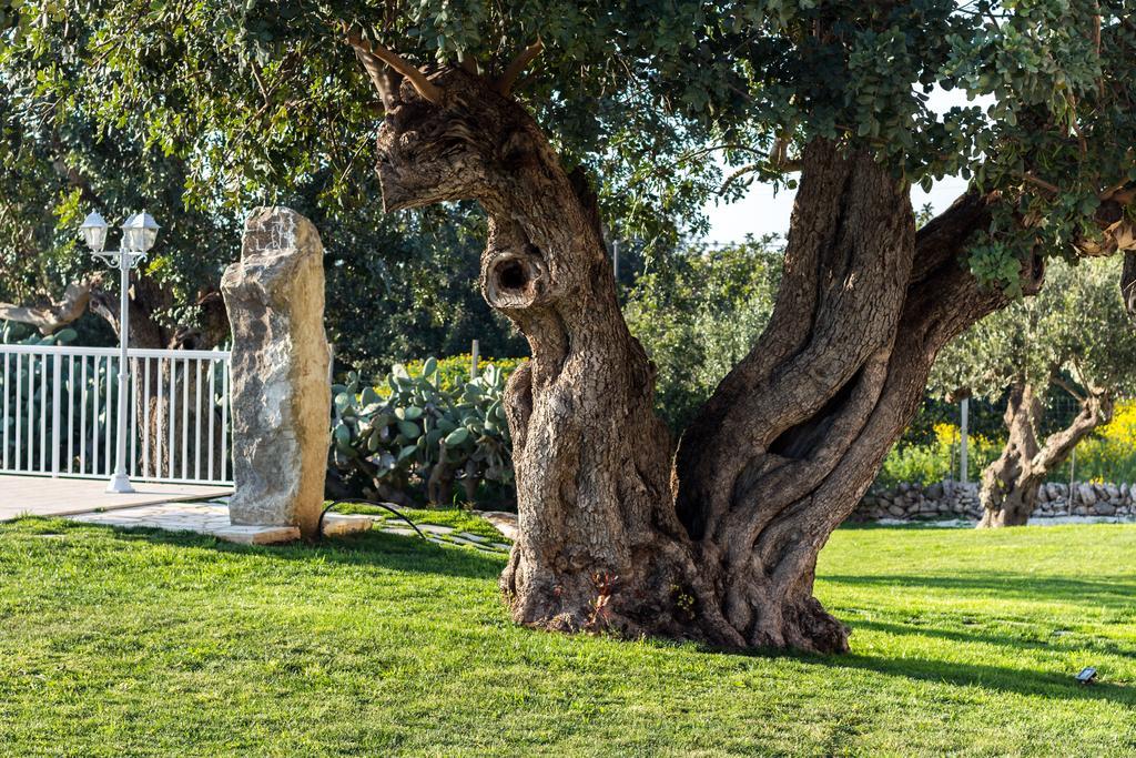דירות סנטה קרוצ'ה קמרינה Il Giardino Dei Frangipani מראה חיצוני תמונה